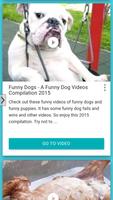 Funny Dogs HD постер