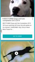 Funny Dogs HD 스크린샷 1