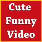 Funny Videos icono