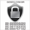 gdseg APK