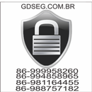 gdseg APK