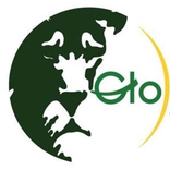 Globe Meet Tours and Safaris