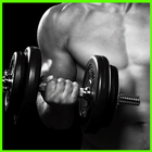 Fitness Workout Tips icon