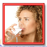 HCG Diet Meal Plan