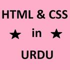 Learn HTML and CSS in Urdu icône