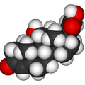 Hormone Quiz