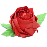 How to Origami Flowers