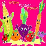 INDIA flight down APK
