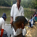 Ijazah Ilmu Mancing Ikan-APK