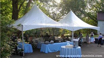 Carpas Para Eventos México. اسکرین شاٹ 1