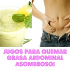 1 JUGO QUEMA GRASA ABDOMINAL icône