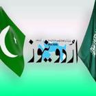 Urdu news jang express icône