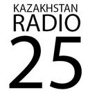 KAZAKHSTAN RADIO-icoon