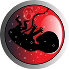 Календарь беременности 2015г. ícone