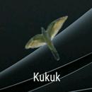 Kukuk Browser APK