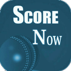 LIVE SCORE CRICKET REALTIME 2018 icon