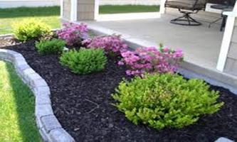 Easy Landscaping Ideas-Better Homes and Gardens скриншот 1
