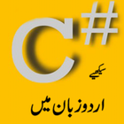 Learn C Language in Urdu icône