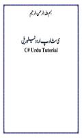 Learn C Language in Urdu Plakat