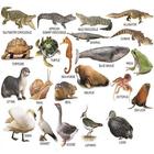 Learn The Names of Animal for Kids simgesi