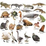 Learn The Names of Animal for Kids Zeichen