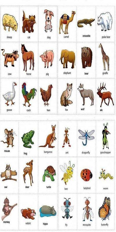 Learn The Names of Animal for Kids APK untuk Unduhan Android Learn The Names of Animal for Kids APK untuk Unduhan Android