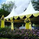 MOJAY TENT HIRE SERVICE KENYA APK