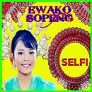 MP3 Selfi Lida Full Video Song APK