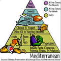 Mediterranean Diet