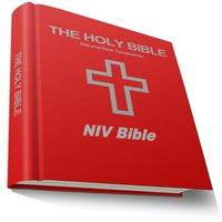 NIV Bible plakat