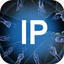 Найти по ip адресу APK