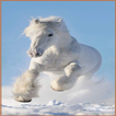 ”Horse Wallpapers