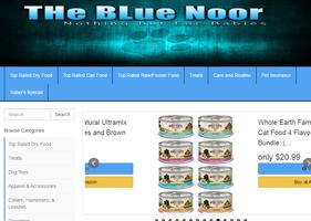 The Blue Noor poster