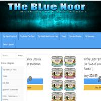 The Blue Noor スクリーンショット 1