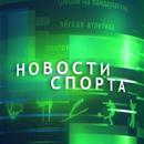 Новости спорта на pecni.com APK