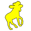 Chute d'orignal IC-APK