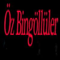 Öz Bingöllüler Turizm स्क्रीनशॉट 1