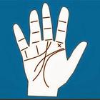 Palmistry Reading Free-icoon