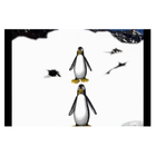 Penguin Pals Animation icône