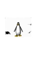Penguin Pals Animation capture d'écran 1