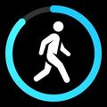 Pedometer