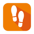 Pedometer/Pedometru