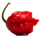 Peperoncini icon