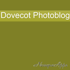 PhotoBlog Dovecot biểu tượng