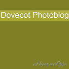 PhotoBlog Dovecot icône