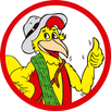 Pollos Mario Hempstead APK