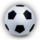 Play Basketball APK