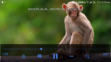 Poster Pro HD Video Player