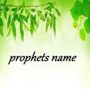 Prophets name APK