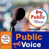 Public Voice icône